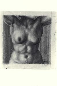 Visualizza l'immagine "Au. C 788"